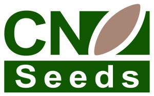 CN Seeds